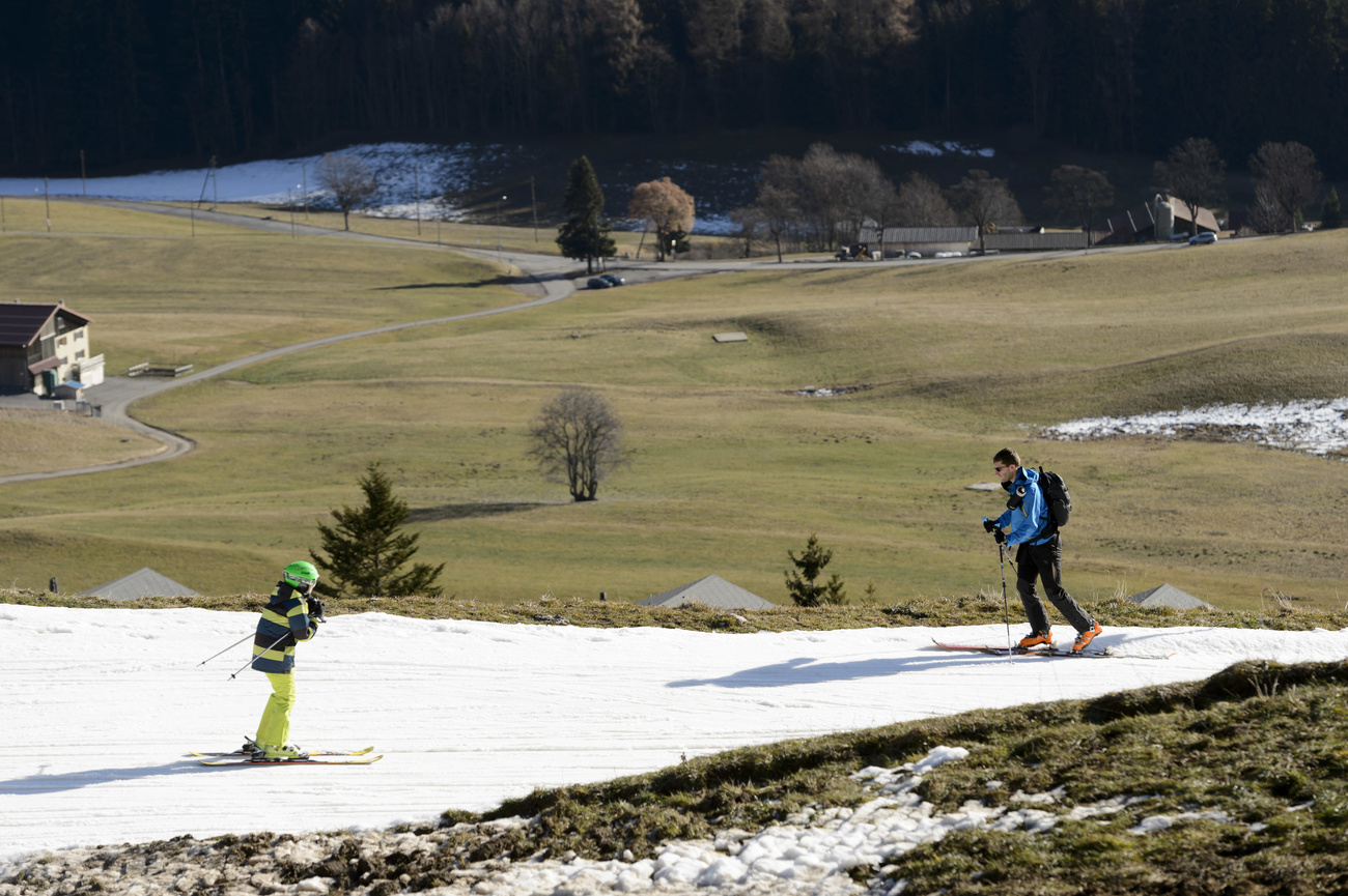 Grassy ski piste