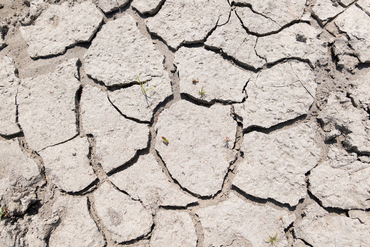 dry cracked earth