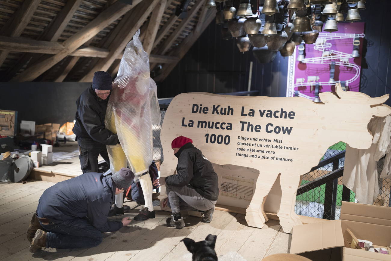 Exposição do museu suíço com vaca