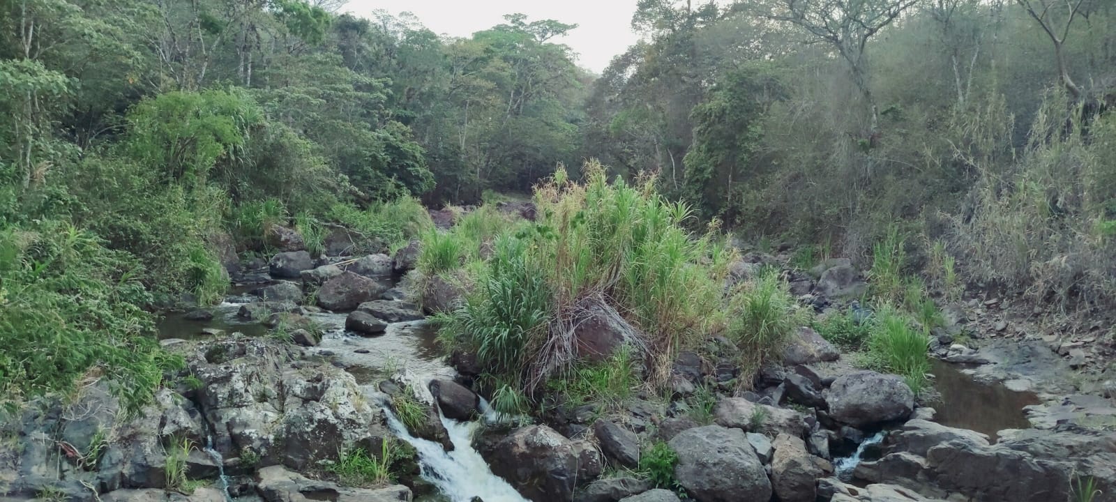 Paisaje con ojo de agua.