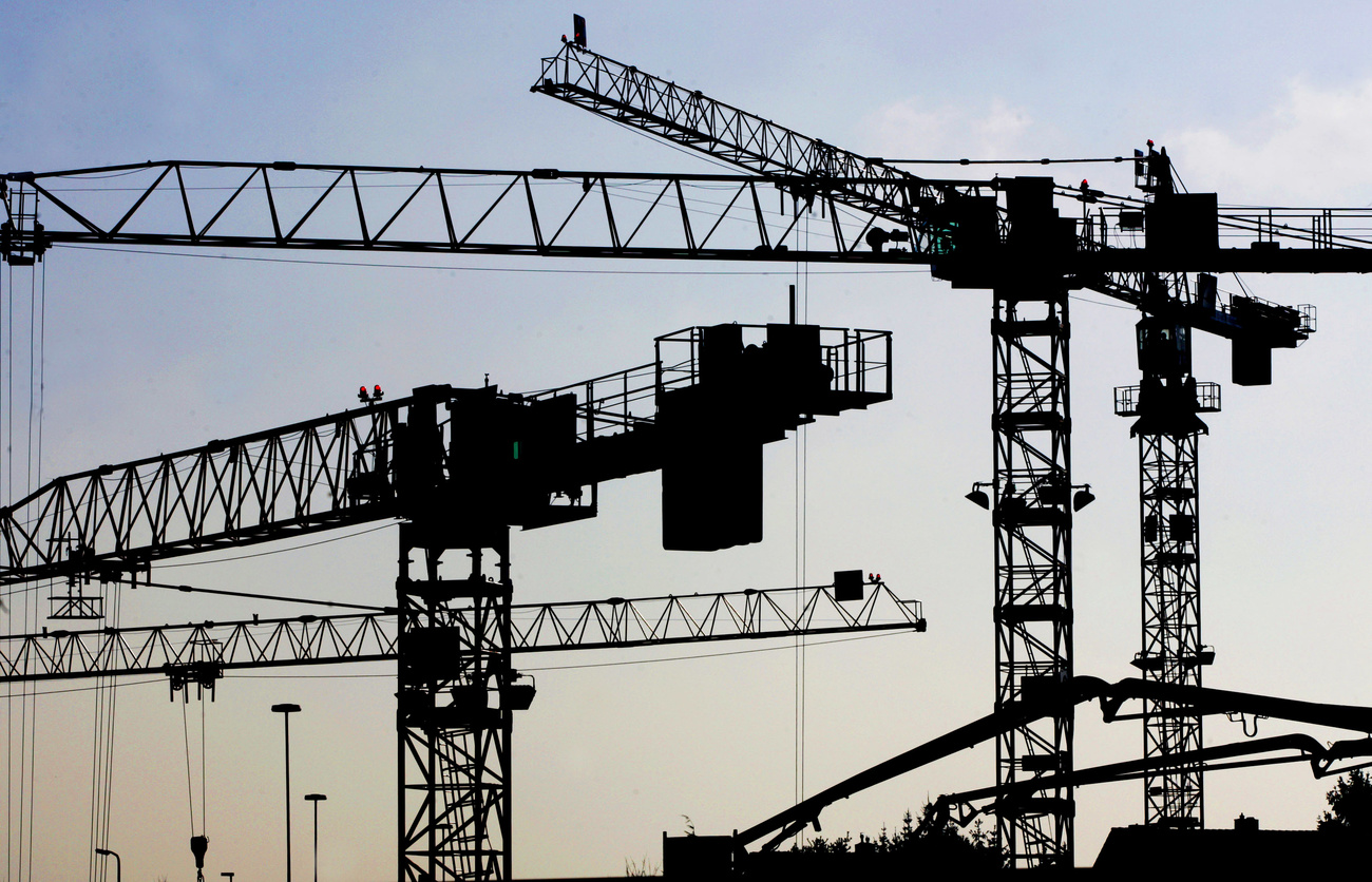 Diverse gru al tramonto.