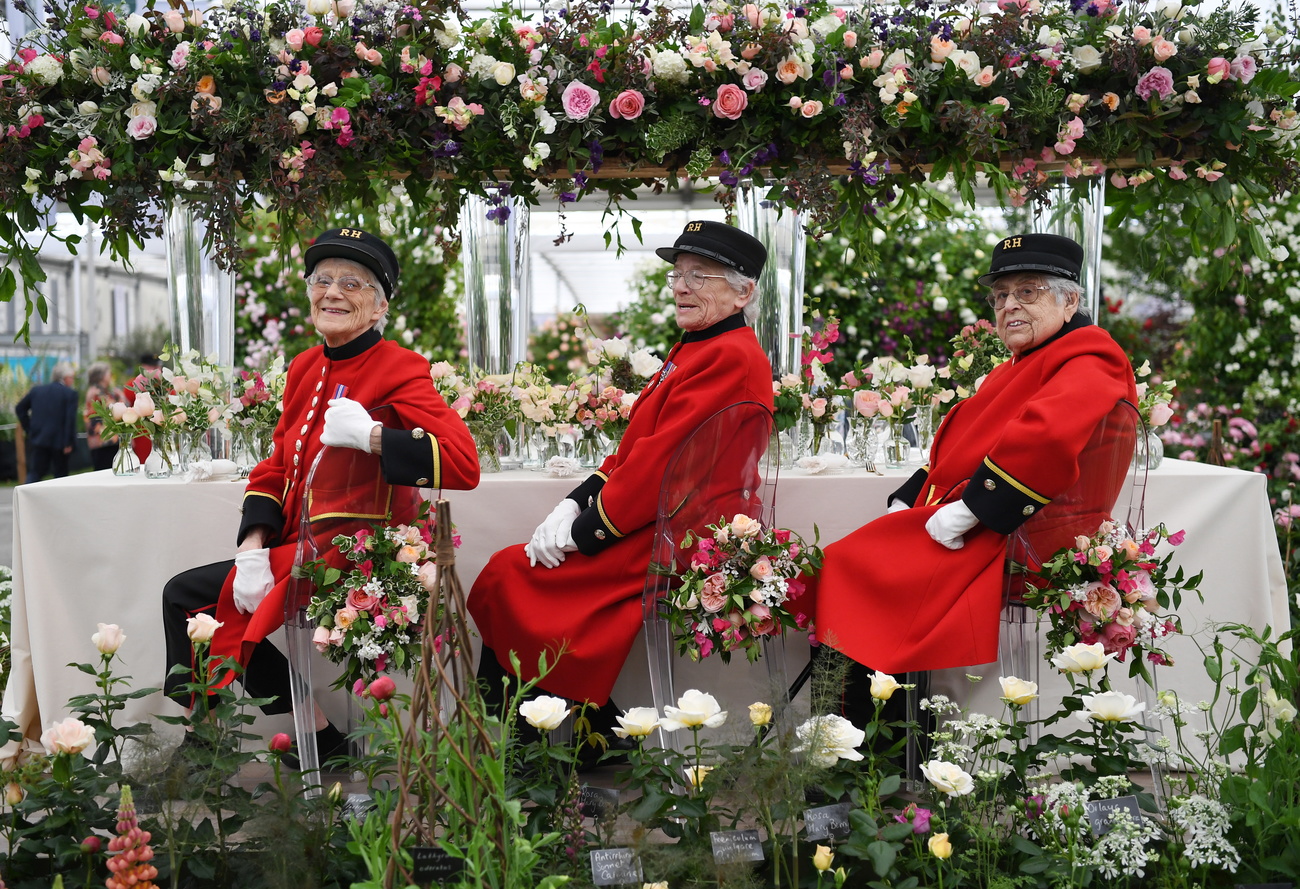 Chelsea Flower Show