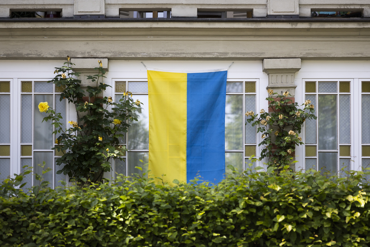 bandiera ucraina