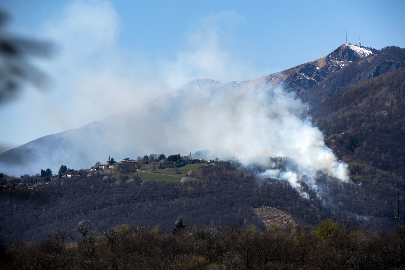 Incendio forestal