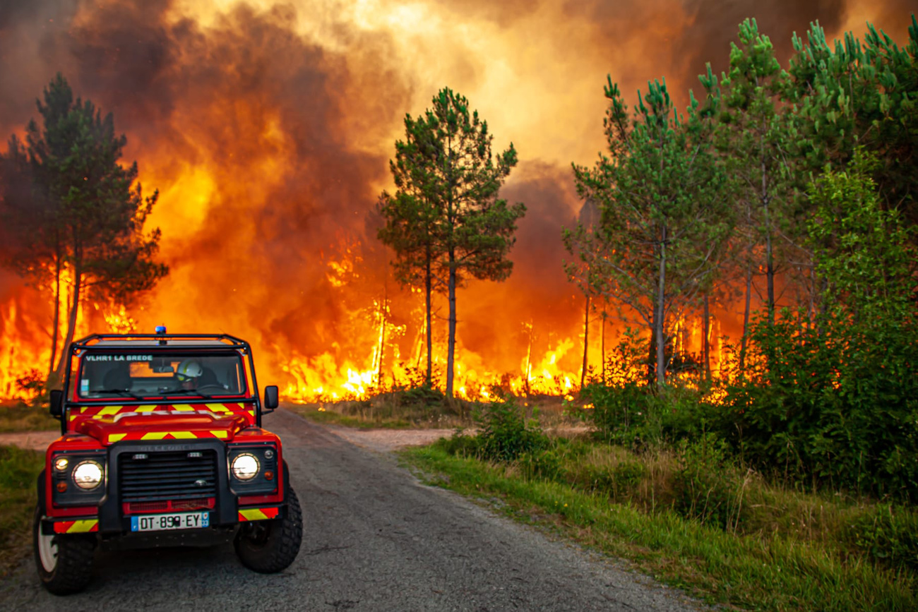 Un bosco in fiamme nel sudovest della Francia.