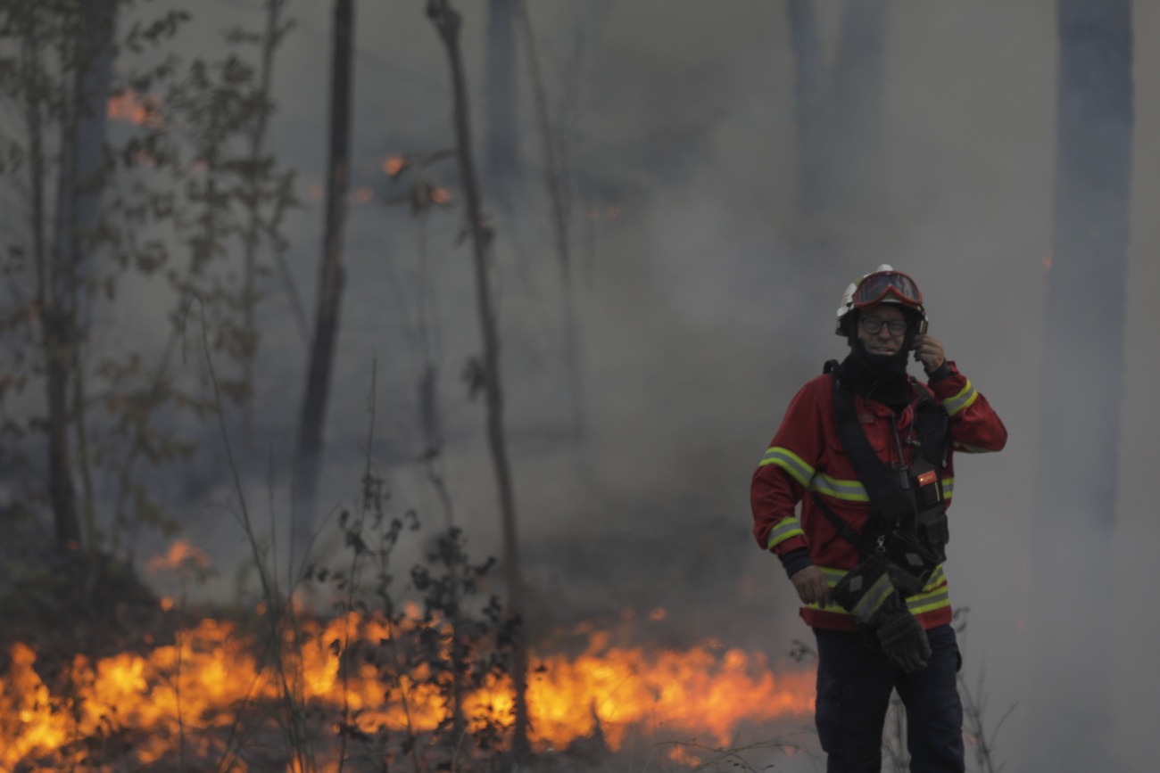 Un pompiere di fronte a un bosco in fiamme.