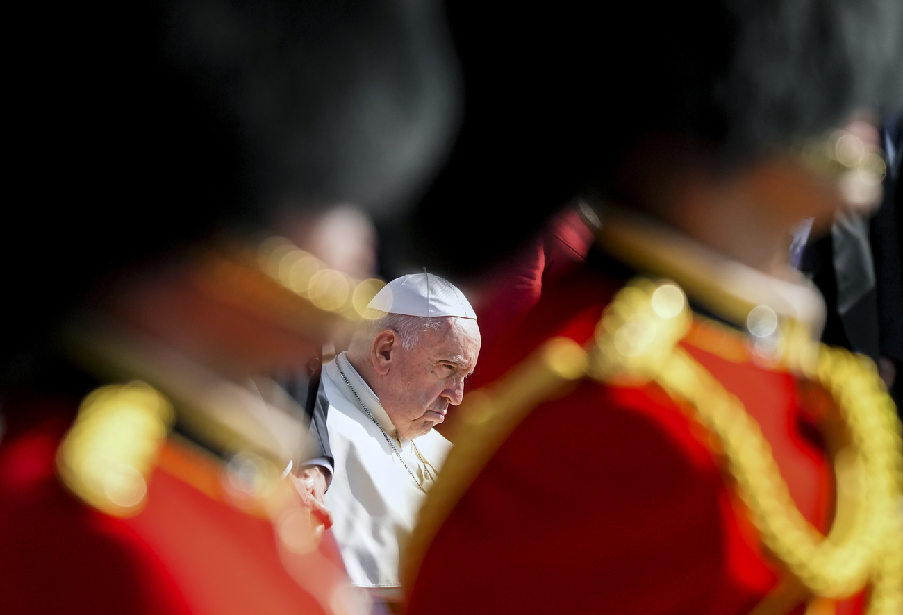 papa francesco