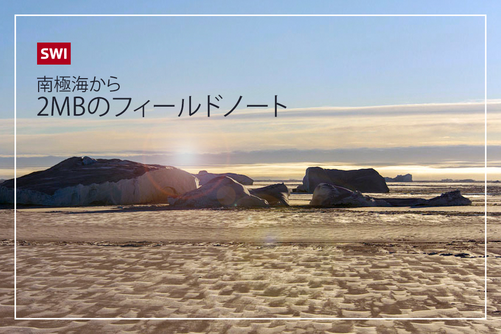 南極海
