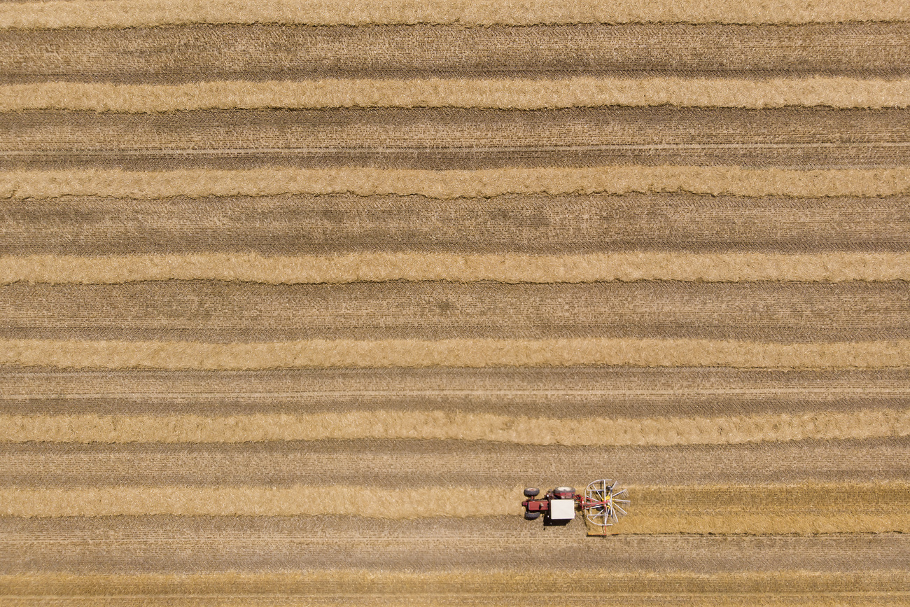 aerial view of grain field