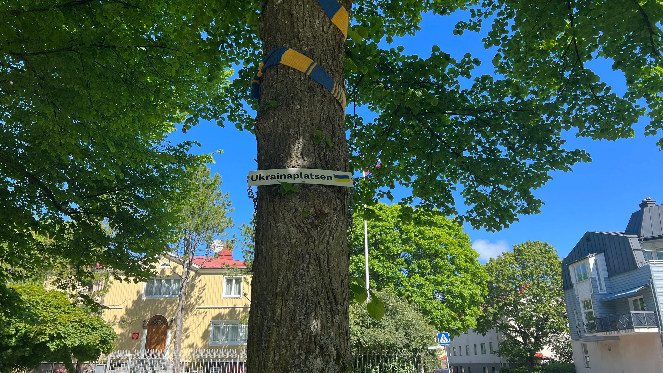 La bandera de Ucrania rodeando el tronco de un árbol