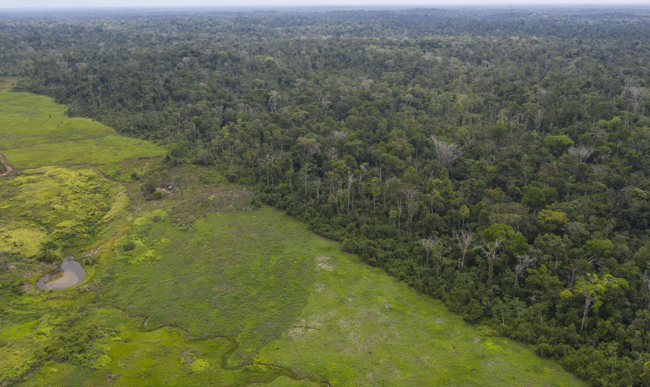 Paisaje con terreno llano junto a foresta.