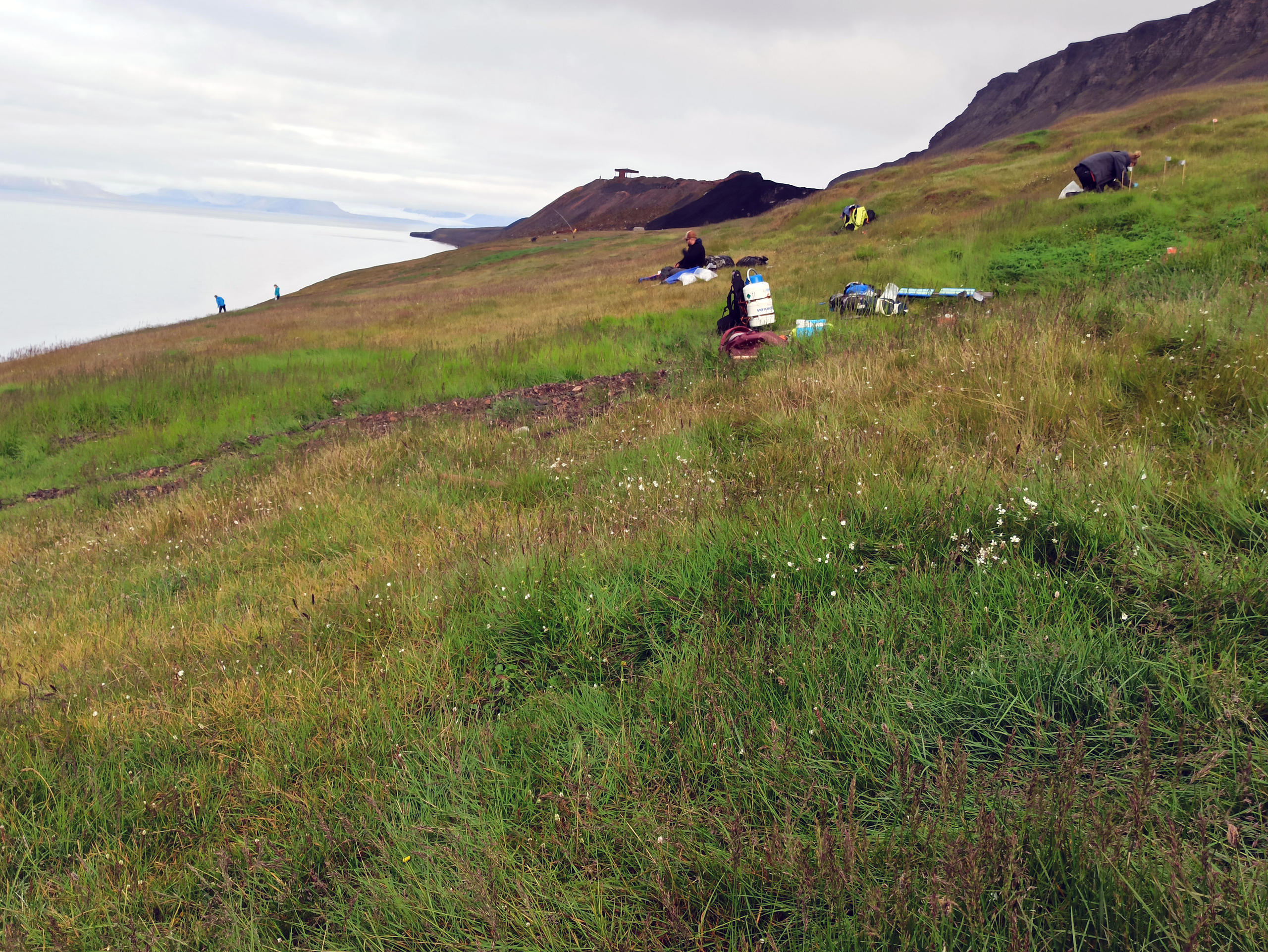 Our team working on different tasks on the sampling site in Barentsburg.