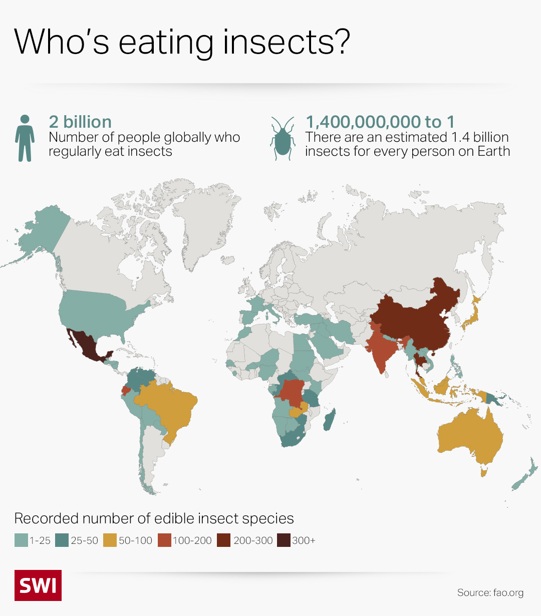 Insect map