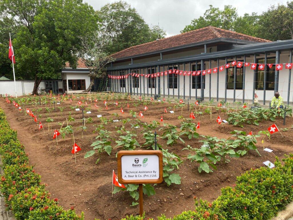 Garten der Botschaft in Sri Lanka