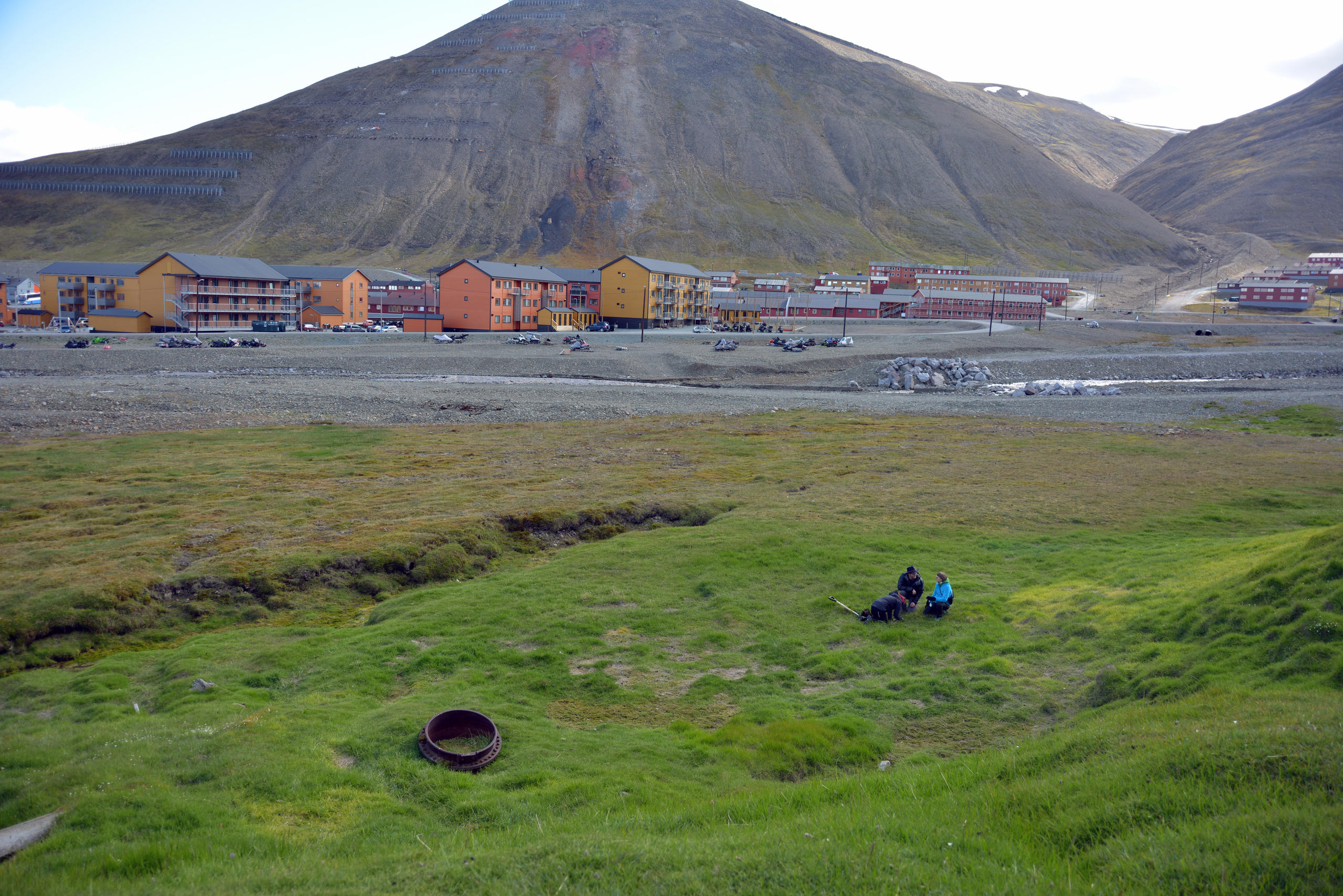 View from our site in Longyearbyen, representative of disturbed soils and vegetation close to settlements