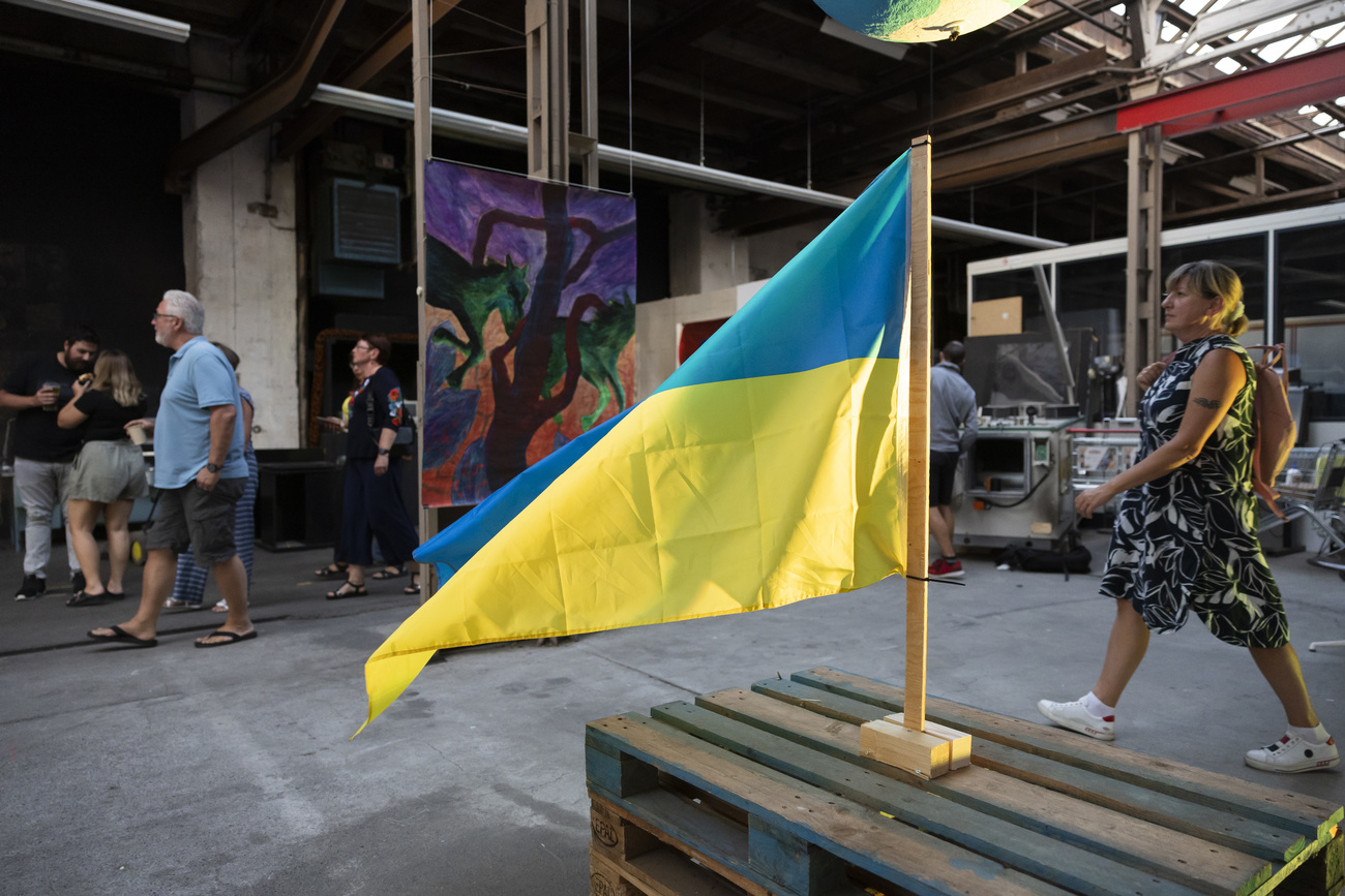 Ukraine flag