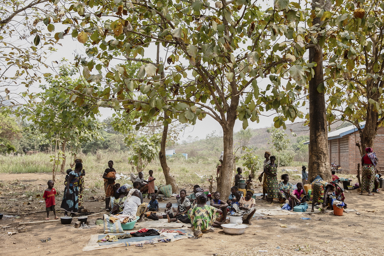 Displaced people waiting under trees