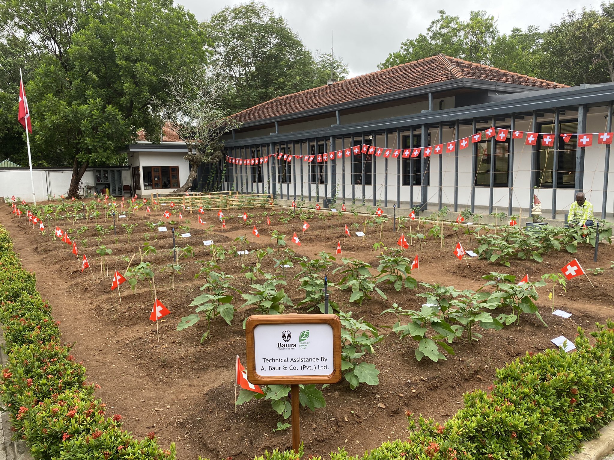 Sri Lankan embassy garden