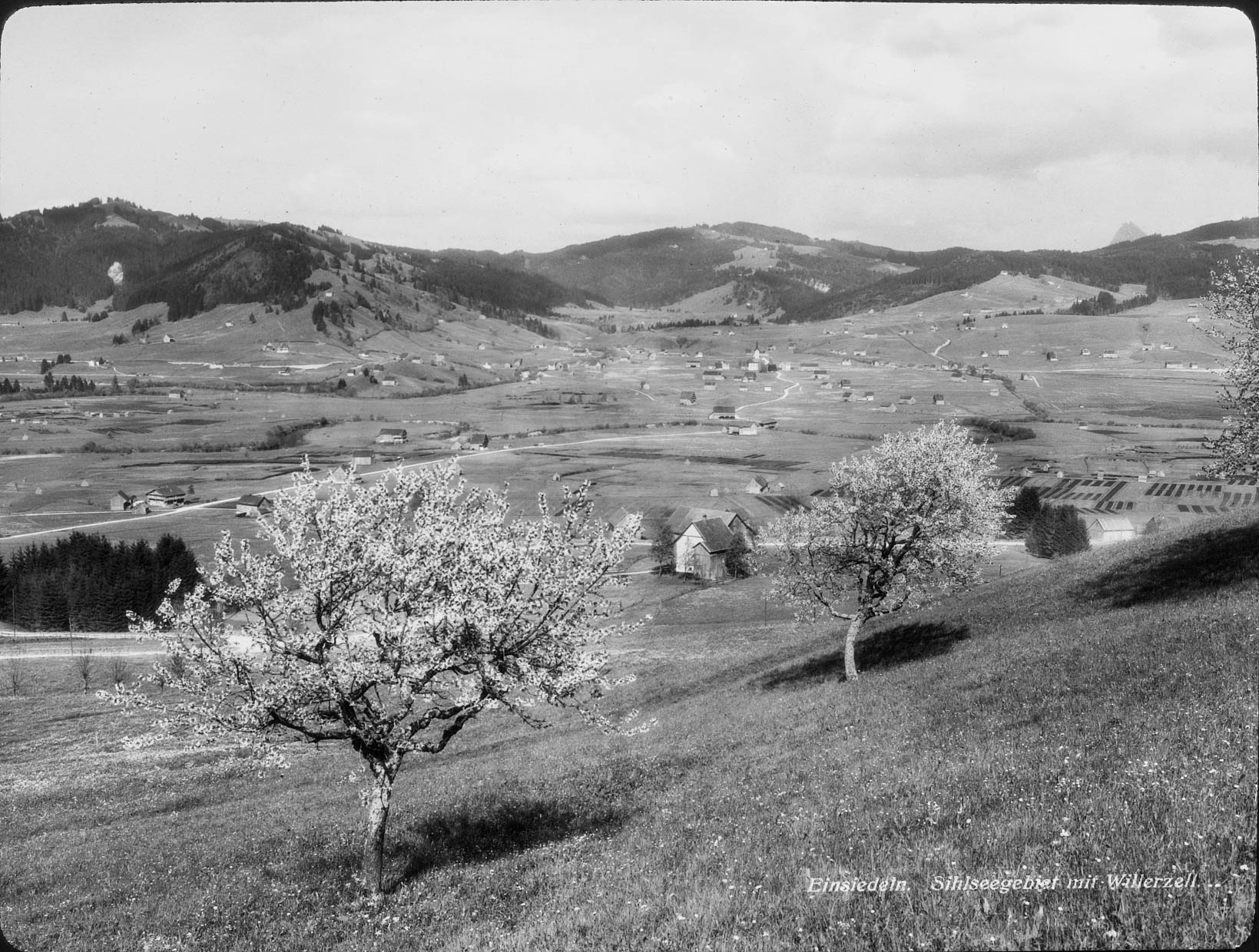 paisaje idílico de una pradera con casitas