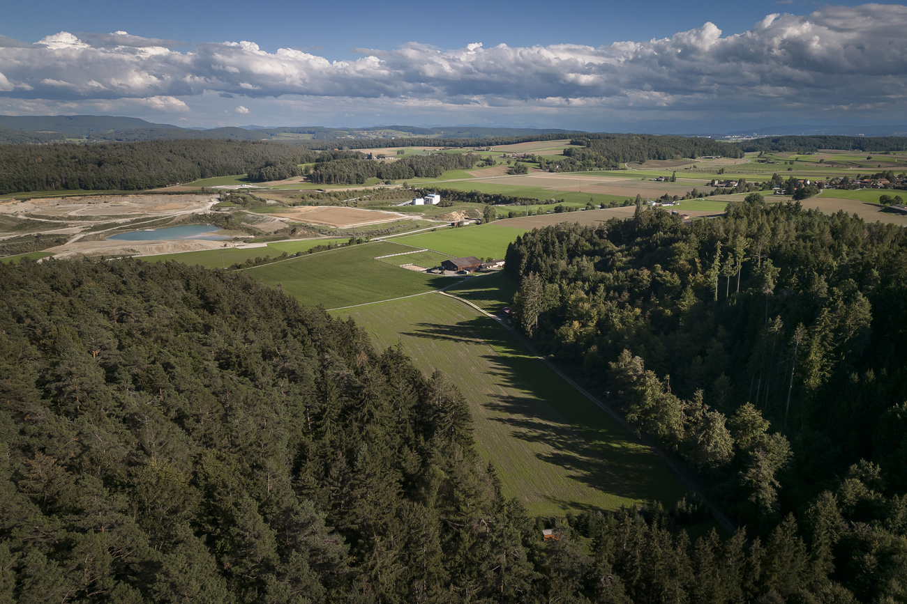 Aerial view of forest and fields