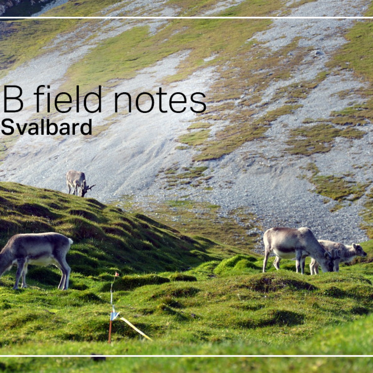 Otirgan qattiq yuz porno video