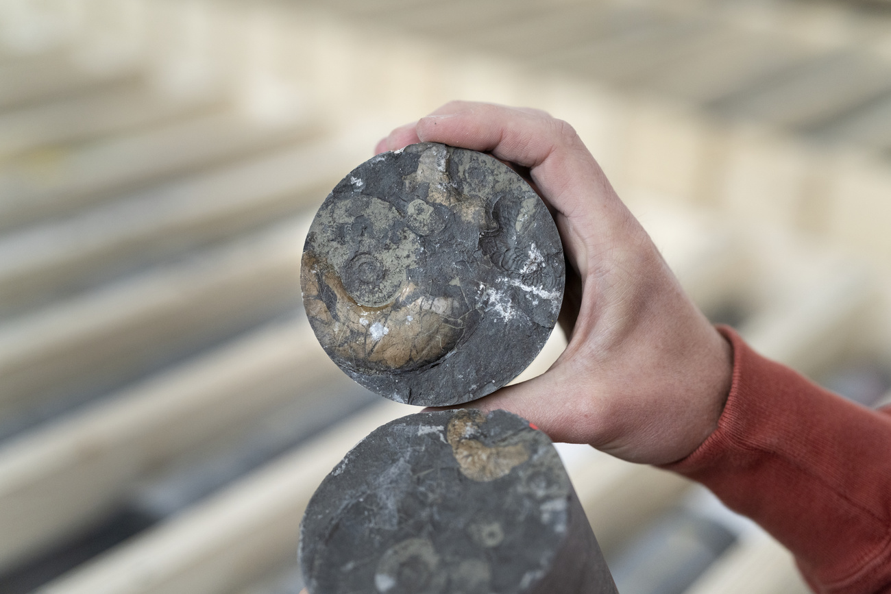 sezione di un carotaggio di roccia