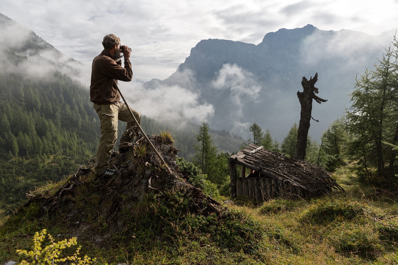 Um pastor procura lobos nos Alpes suíços por meio de binóculos.