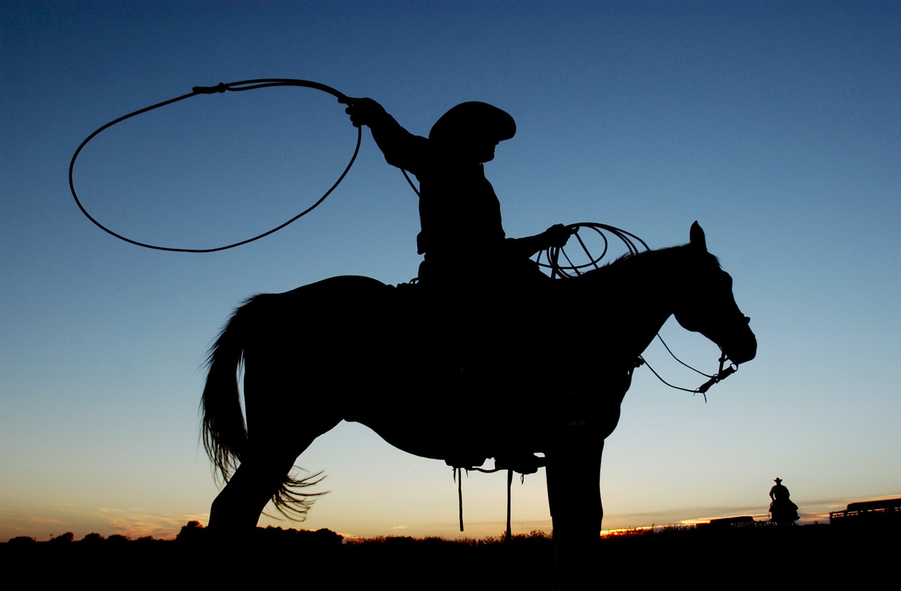 Silhouette eines Cowboys mit geschwungenem Lasso auf Pferd