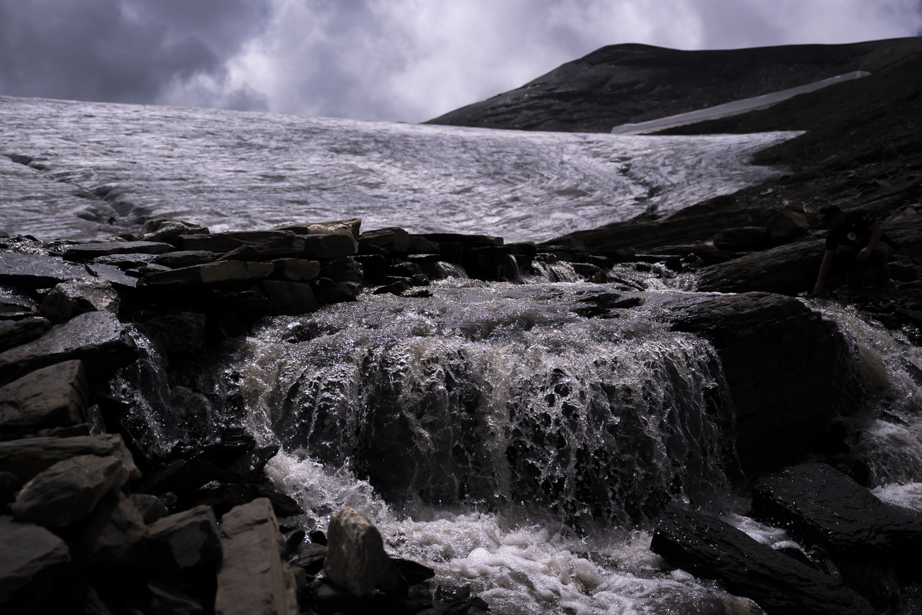 Acqua che sgorga dal ghiaccio in quota.