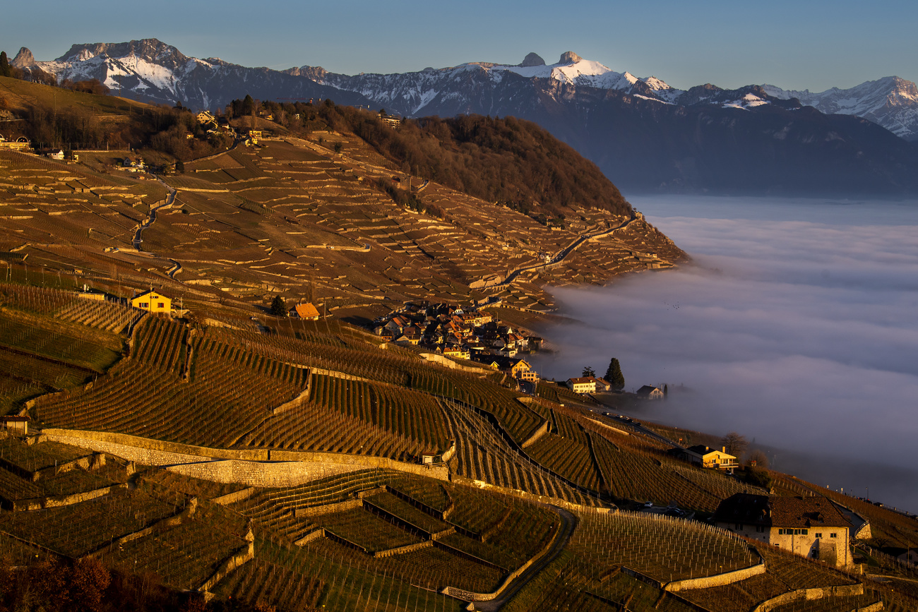 Lavaux region of Switzerland