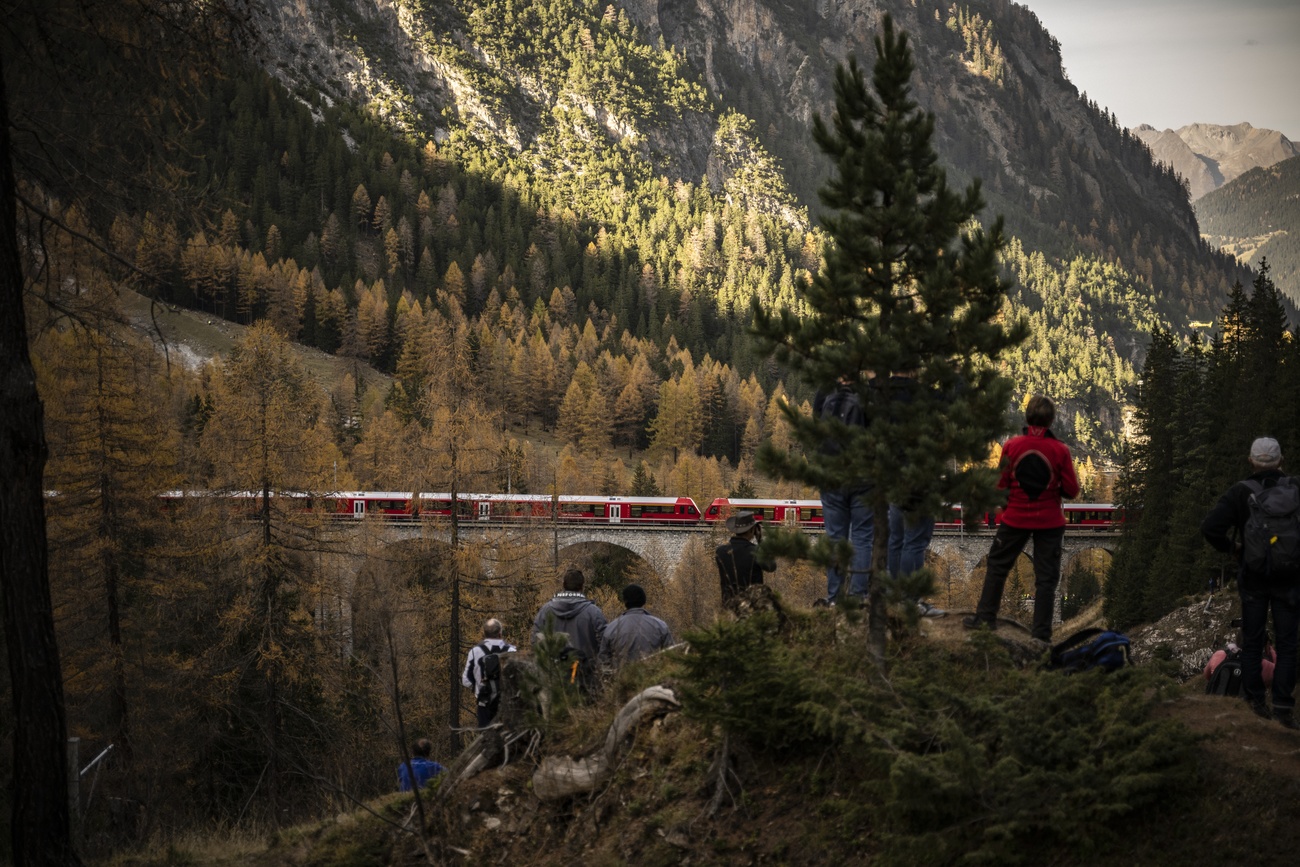 aficionados en un valle viendo el tren pasar