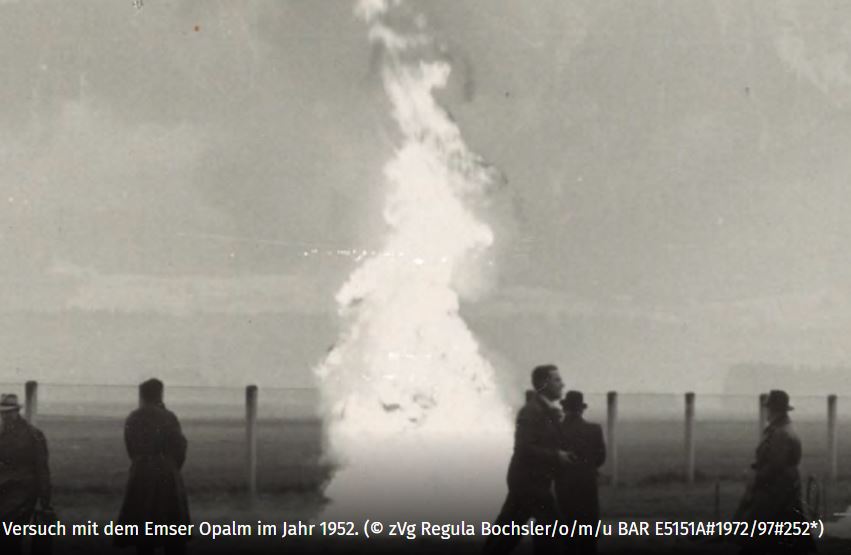 Wiese mit Menschen und hoher Feuersäule, die in einiger Entfernung aufsteigt