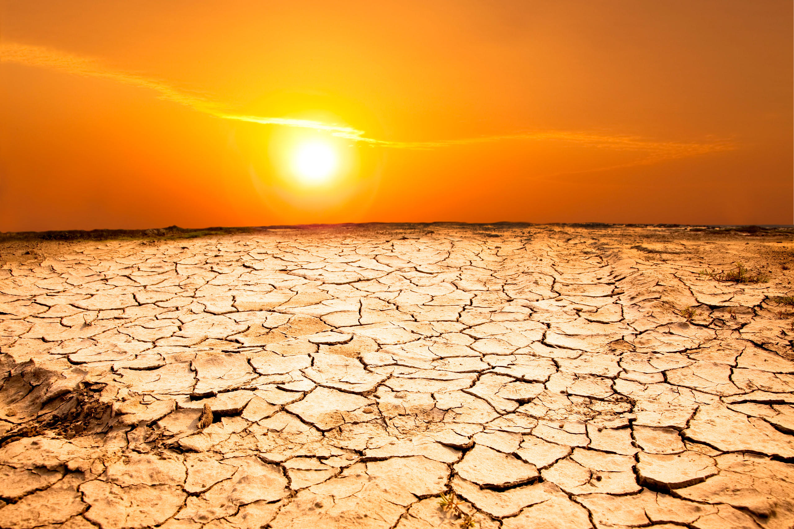 el sol pegando en un terreno muy árido, prácticamente desértico