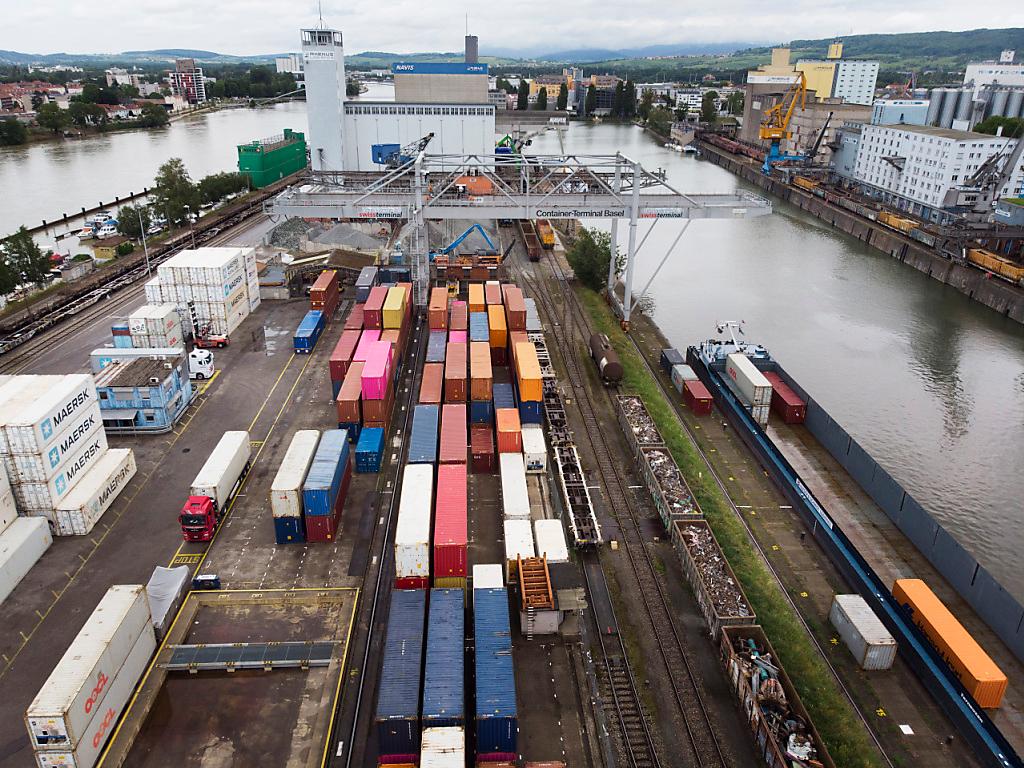 Carburatore Motore Da Rasaerba IP60F, 160FLA, Senza Rubinetto, Adattabile A Vari Motori 5/6 HP - Foto 7