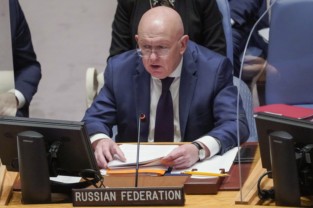 Russia at UN Security Council