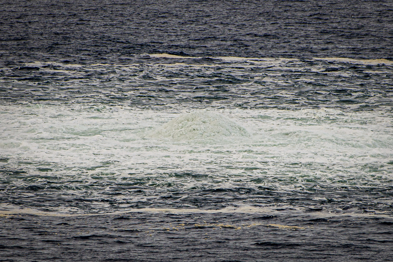 Il metano affiora in superficie nel mare