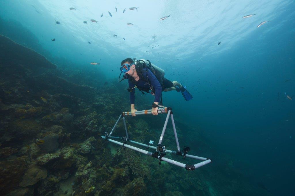 Plongeur en train de travailler dans la mer