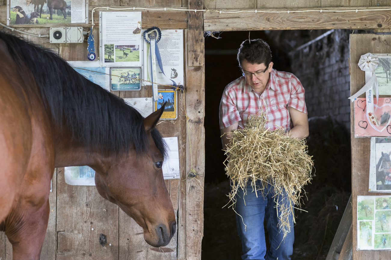 Albert Rösti alimenta a su caballo