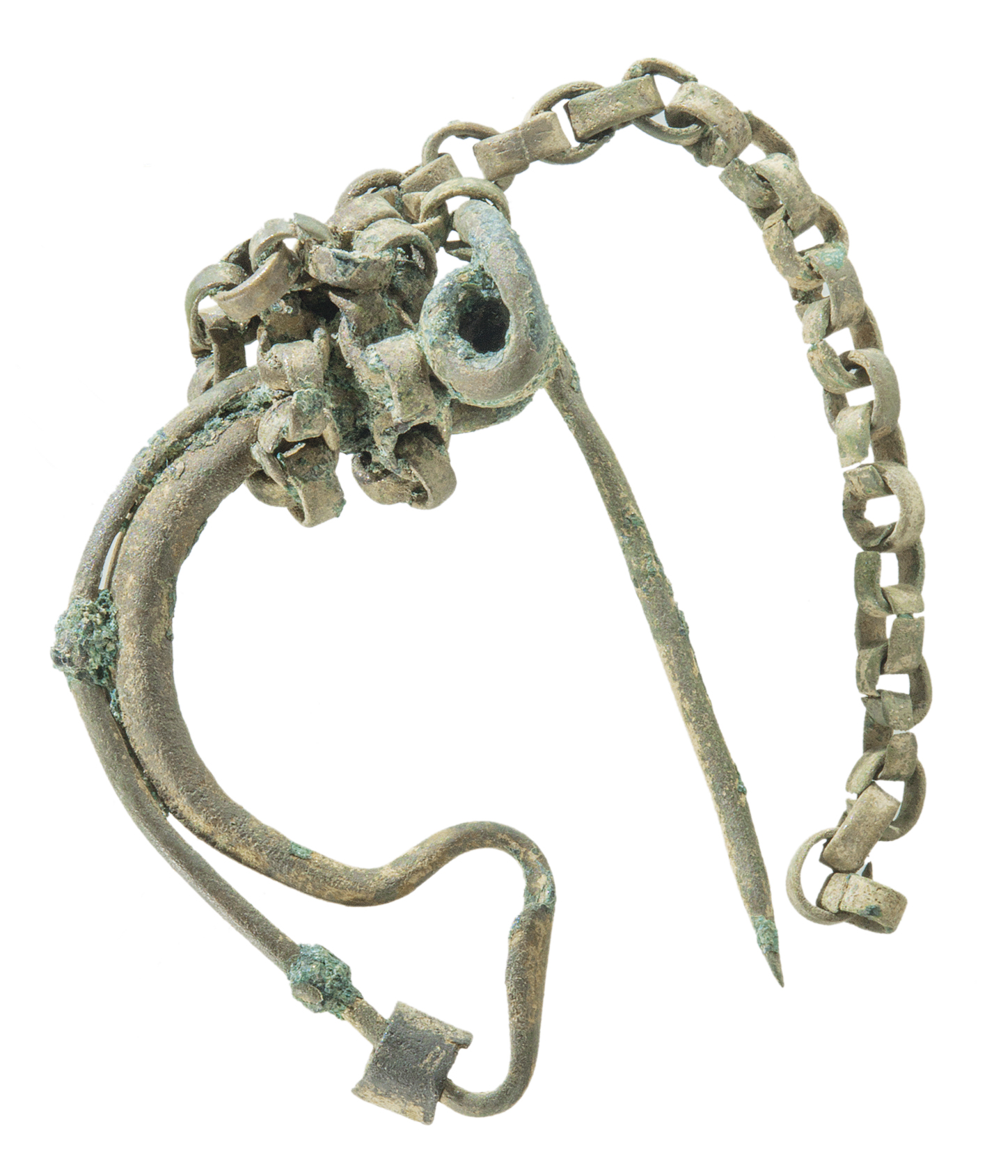 Fibula