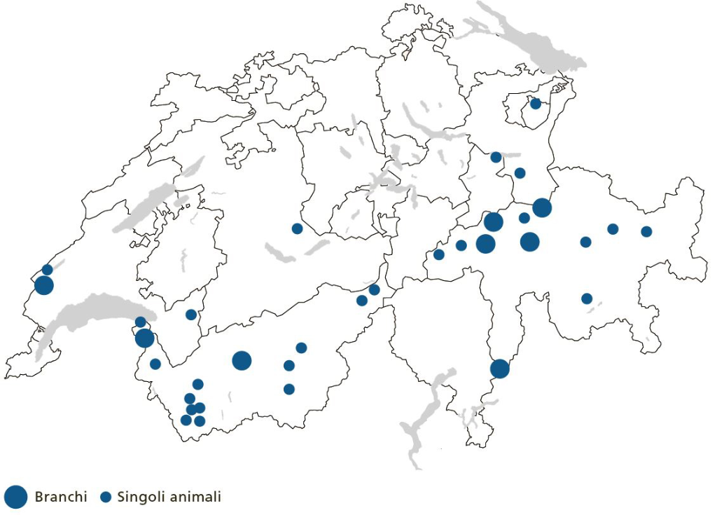 La cartina della Svizzera sulla diffusione dei lupi