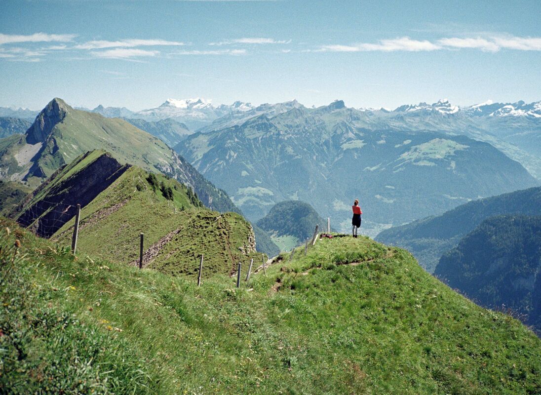 Alpine rural landscape