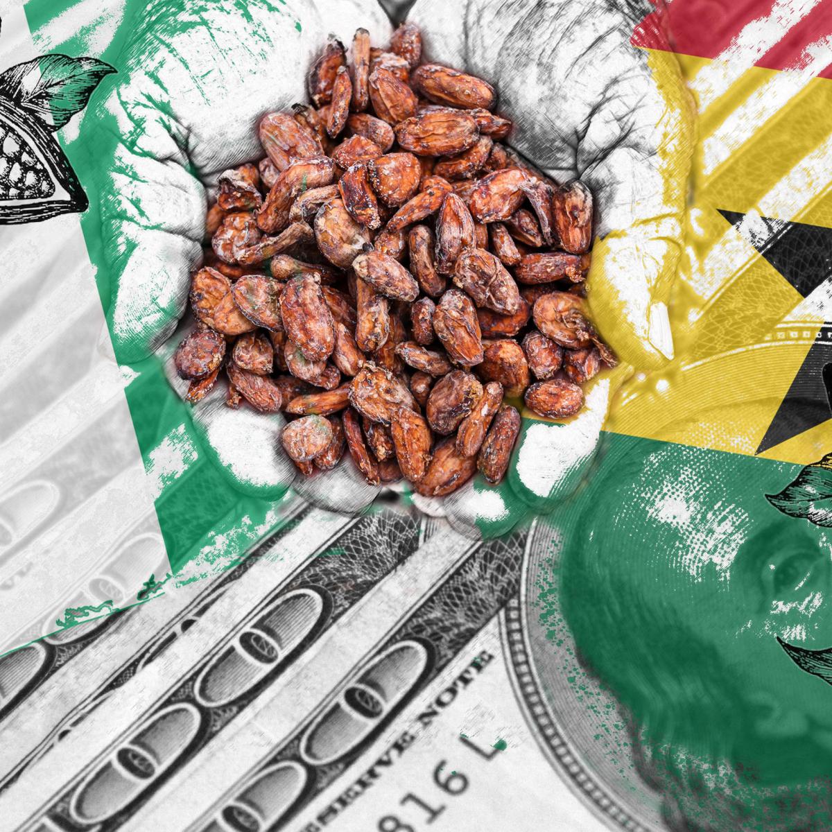 西アフリカのカカオ豆価格引き上げ政策は成功するか？ - SWI swissinfo.ch