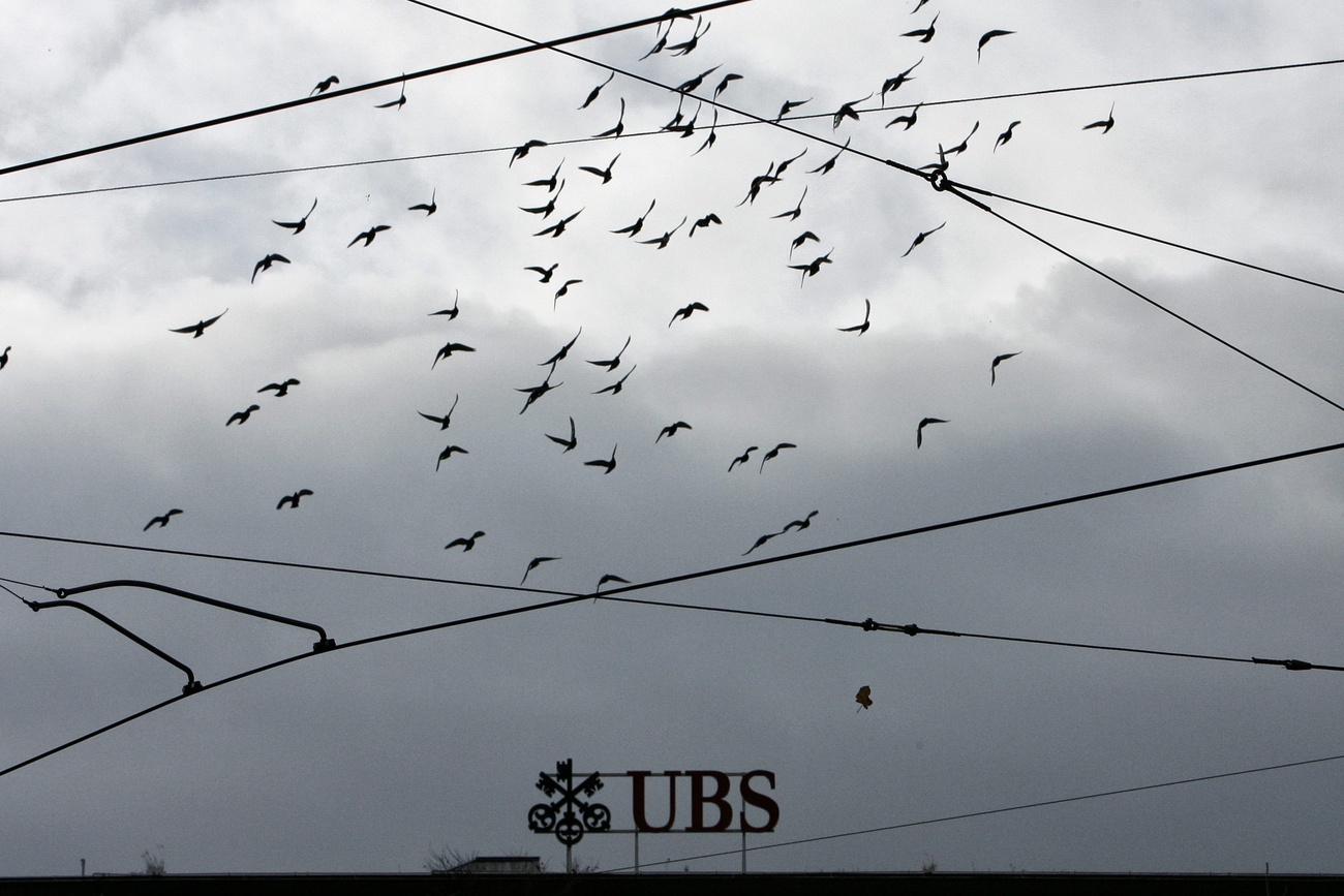 Birds flying over the UBS logo