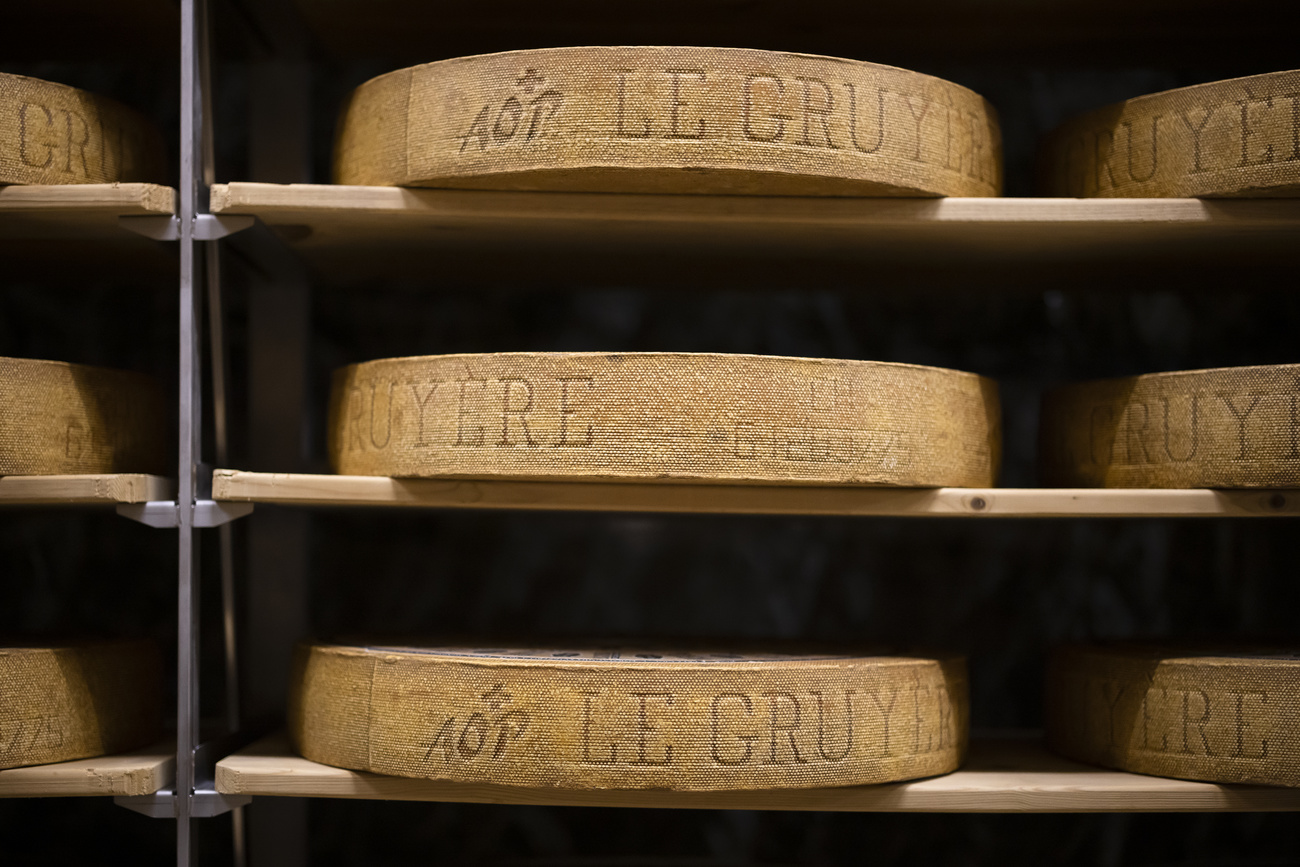 un estante llena de quesos Gruyère