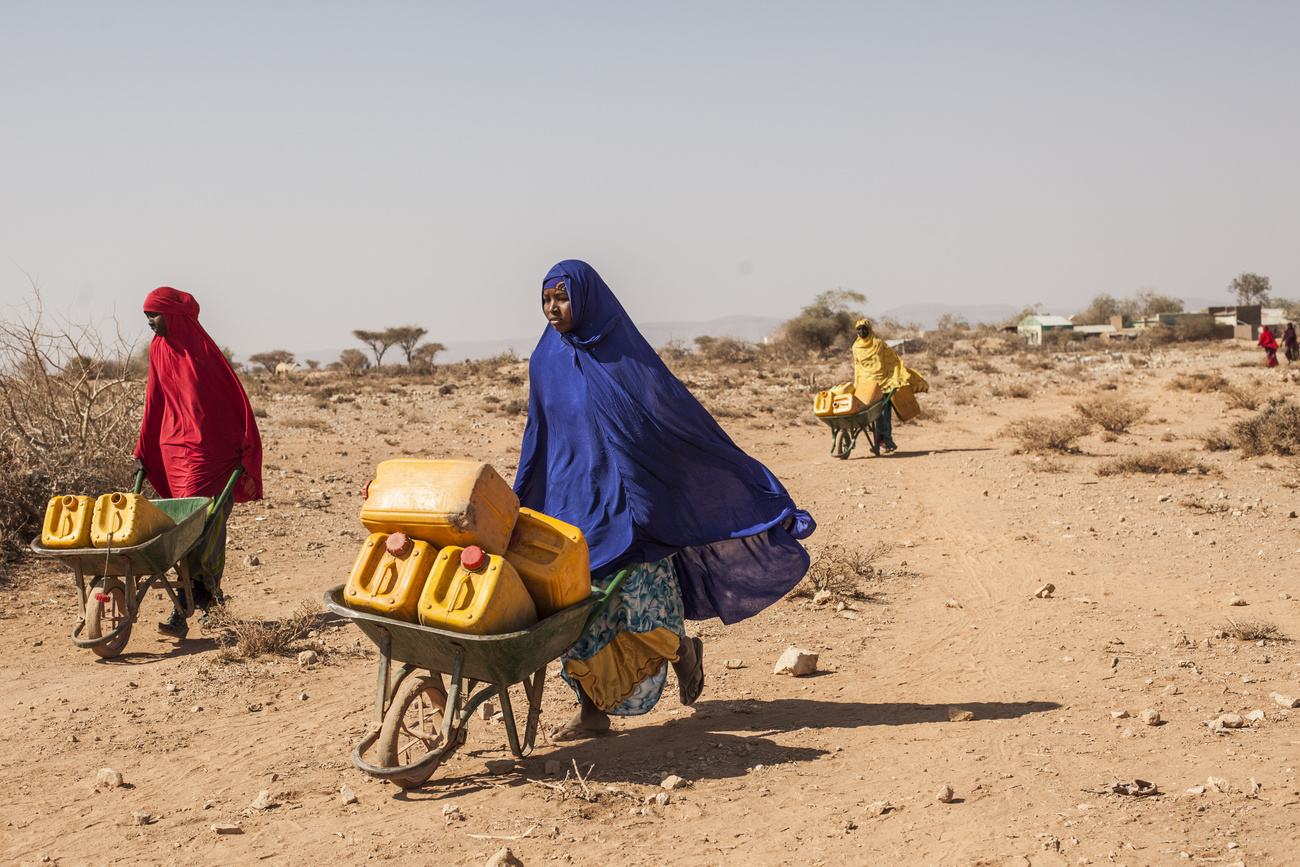 Femmes transportant des bidons dans des brouettes