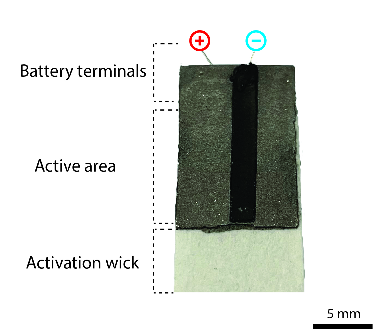 EMPA paper battery