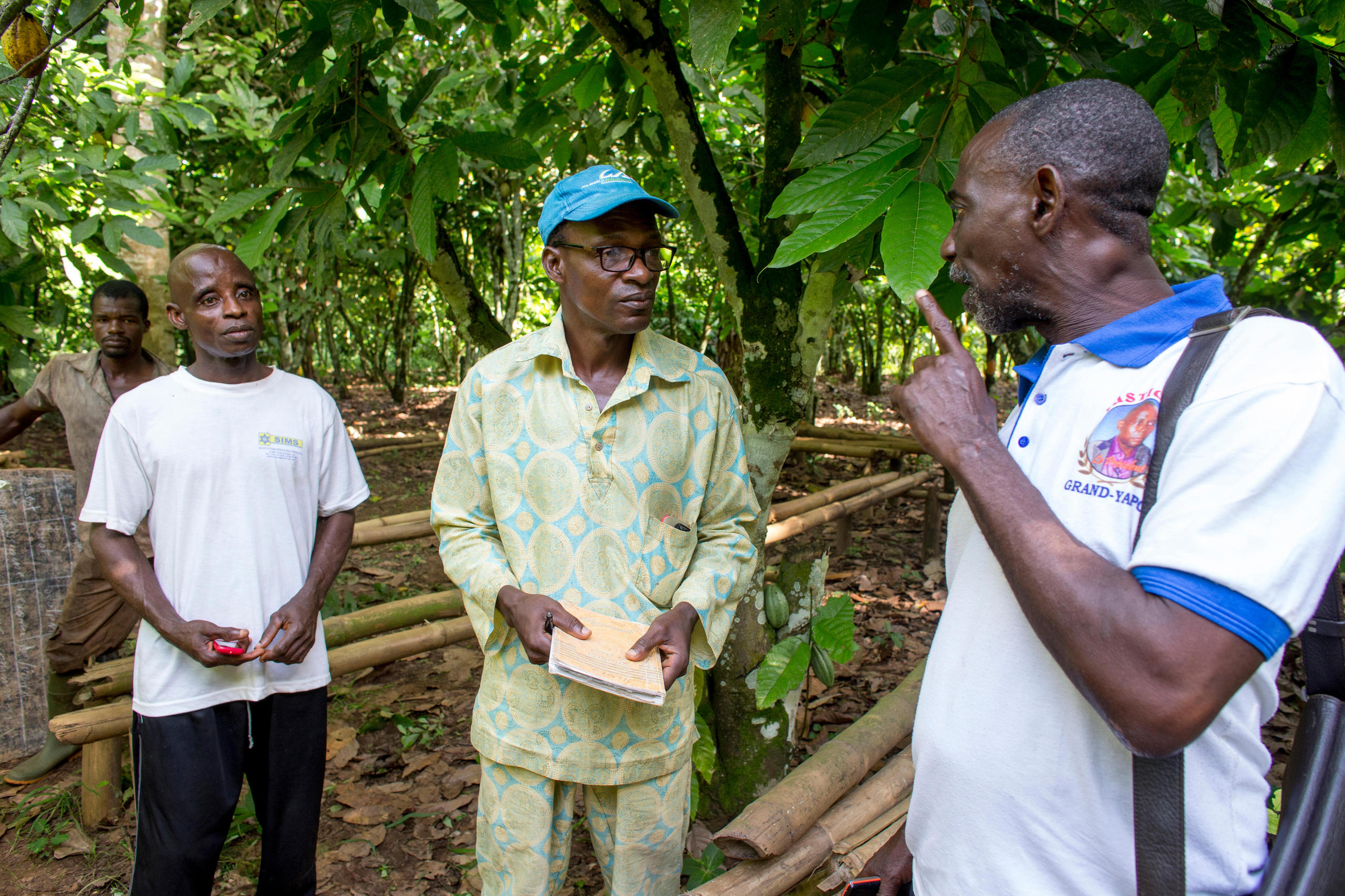 Ivory Coast farmers