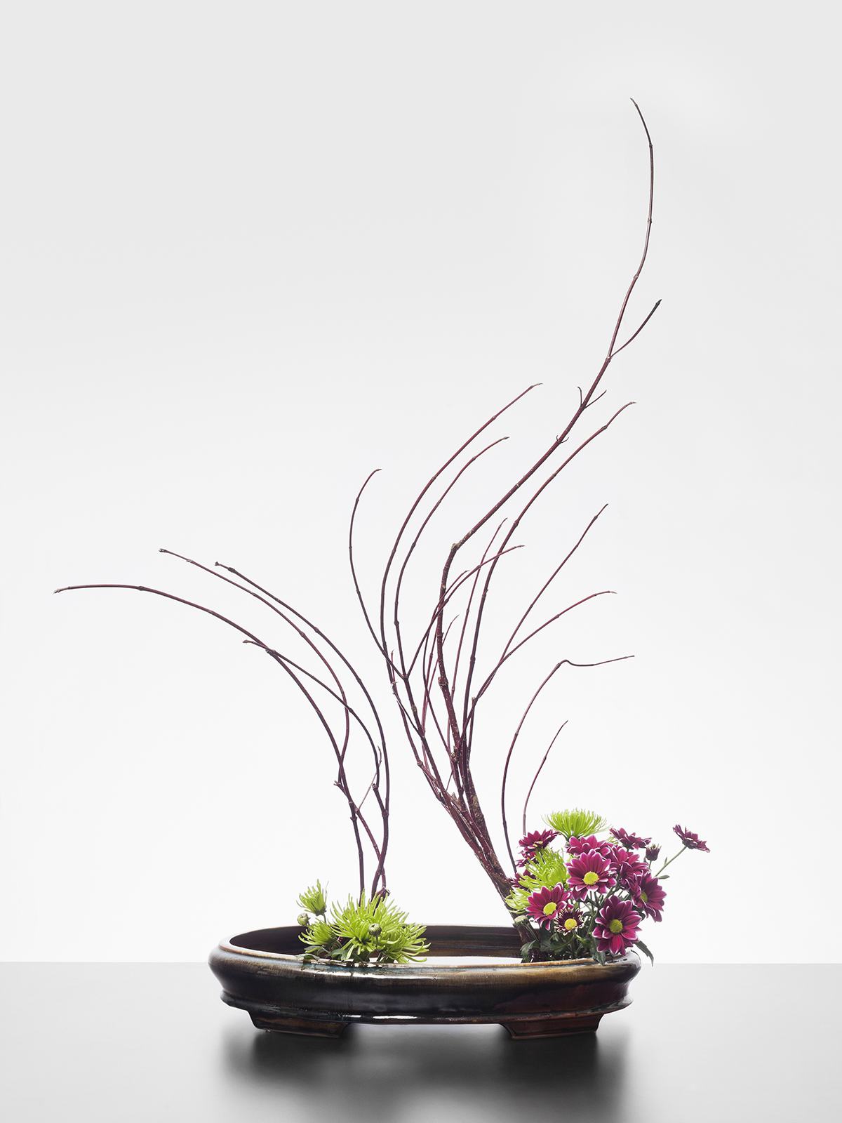 Ikebana International