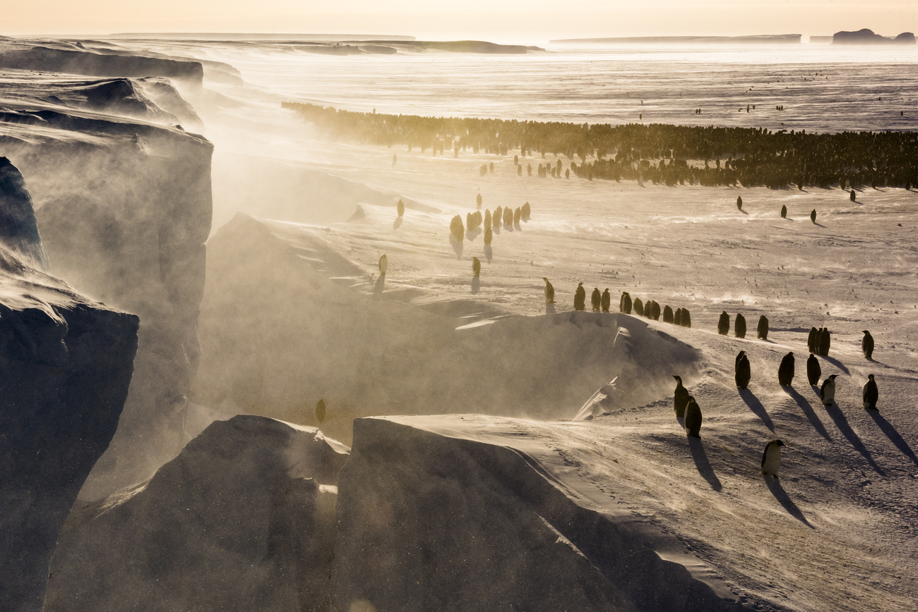 South Pole