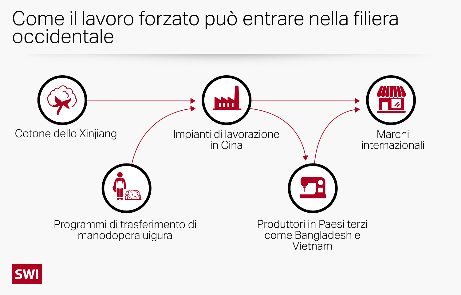 Schema filera del cotone